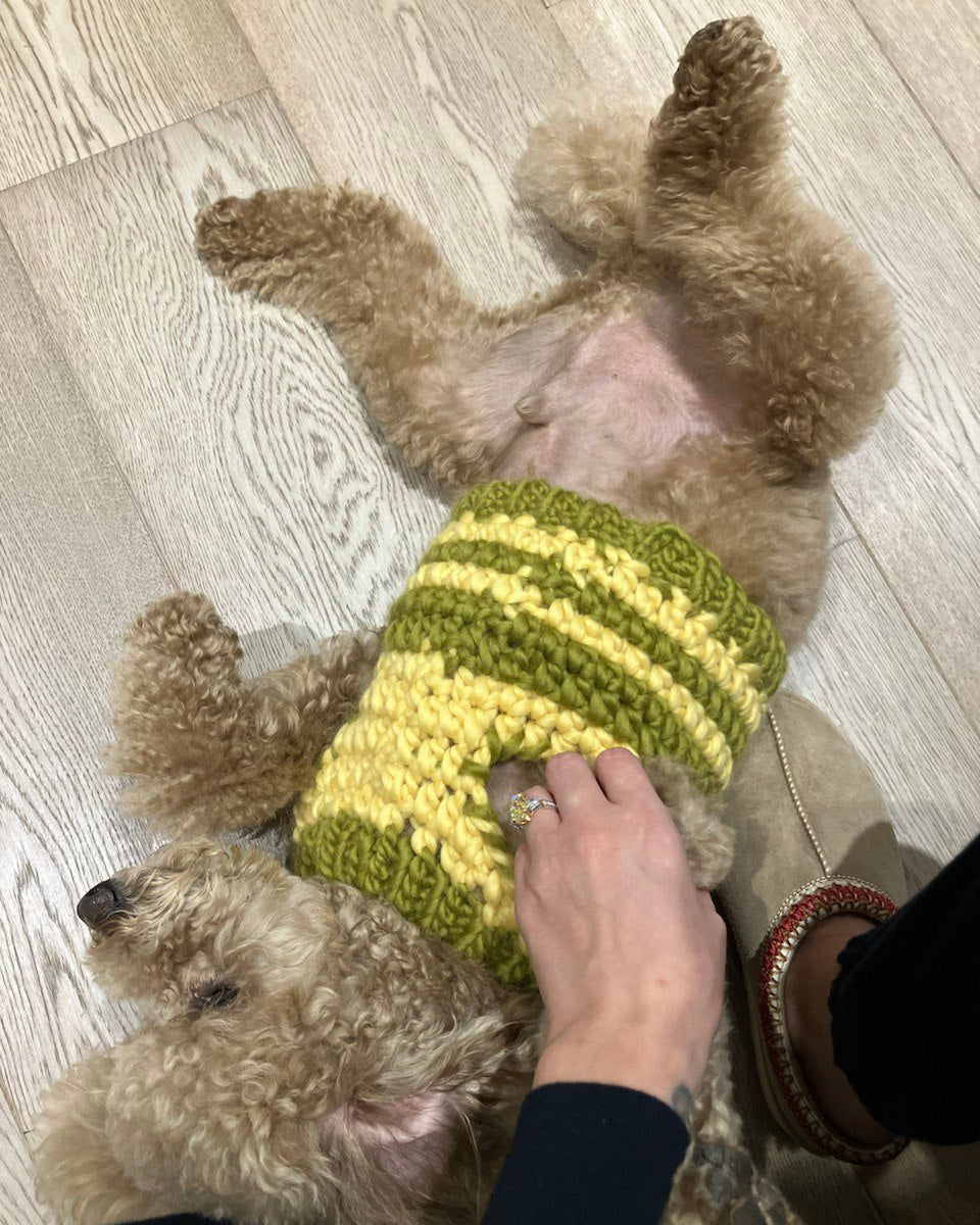 Dog Sweater – Crochet Pattern (PDF)
